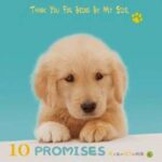 10 Promises To My Dog