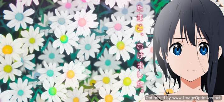 Chuyện Tình Tamako