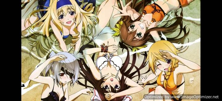 IS: Infinite Stratos 2 – Hitonatsu no Omoide