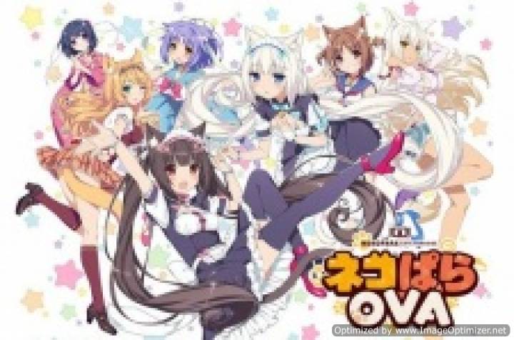 Nekopara