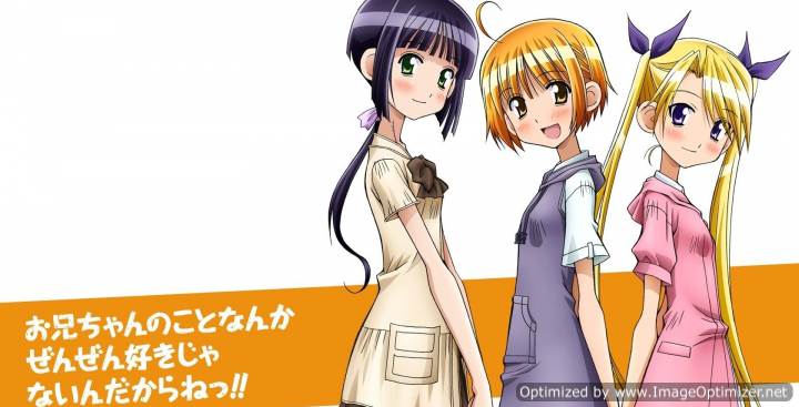 Oniichan no Koto nanka Zenzen Suki ja Nai n da kara ne!! Special