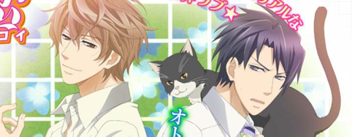 Sekaiichi Hatsukoi Movie: Yokozawa Takafumi no Baai