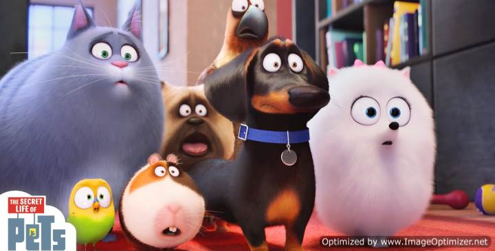 The Secret Life of Pets